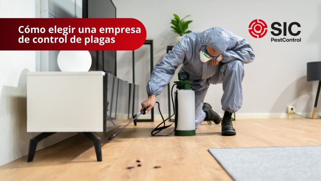 Las mejores empresas de control de plagas en México